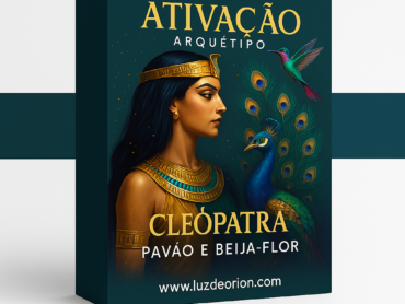 f0afc7a1-dc66-4a0d-85a5-bc2bc478308d